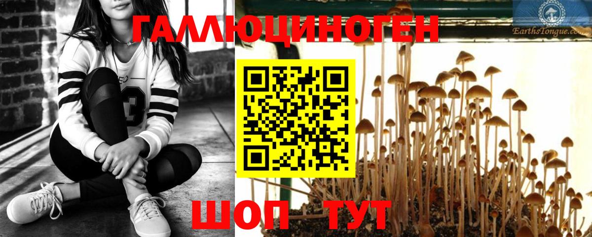 Псилоцибиновые грибы мицелий  Вход с VPN  Псилоцибиновые грибы мицелий  дарнет шоп  Усть-Илимск 