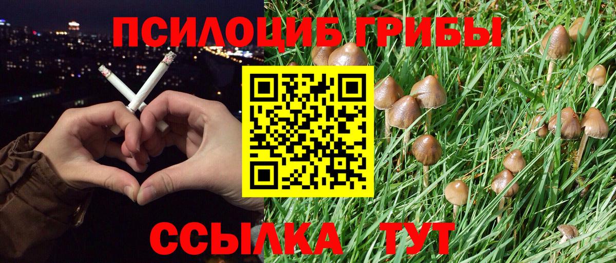 Галлюциногенные грибы Magic Shrooms Усть-Илимск